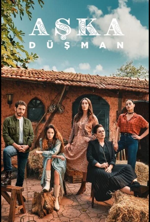 Сериал Враг любви (2024)